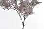 DKD Home Decor Ramas de PE 40x15x91 Surtido de 2