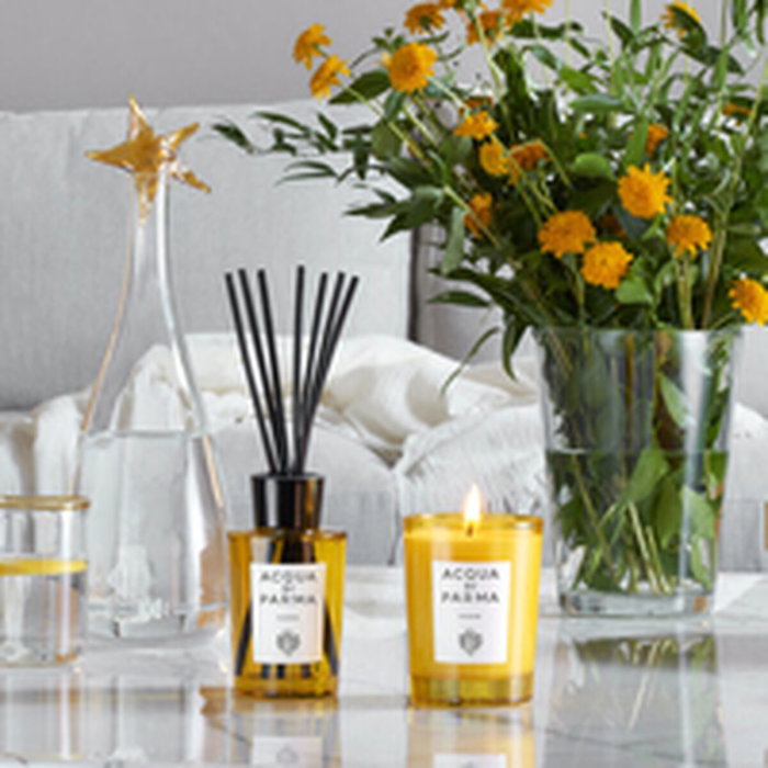 Acqua di Parma Insieme Diffuser 180ml