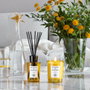 Acqua di Parma Insieme Diffuser 180ml