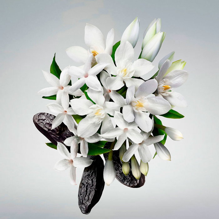 Carolina Herrera Good Girl Leg Elixir - Aceite Iluminador para Piernas con Polvo Dorado - 150 ml