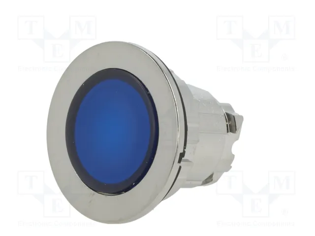 SCHNEIDER ELECTRIC Interruptor de presión Harmony XB4 azul