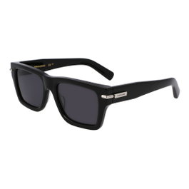 Ferragamo SF2033S-1 Gafas de sol con cristales negros