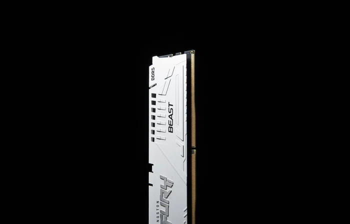 Kingston FURY Beast 16 GB DDR5 6000 MT/s CL36 Blanco EXPO Kingston FURY Beast 16 GB DDR5 6000 MT/s CL36 Blanco EXPO