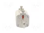 ETI POLAM Fusible NH1 de Cartucho Cerámico Industrial 125A 500VAC