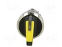 SIEMENS Interruptor Rotativo 22mm Amarillo 1 Posición Estable