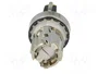 SIEMENS Interruptor Rotativo 22mm Amarillo 1 Posición Estable