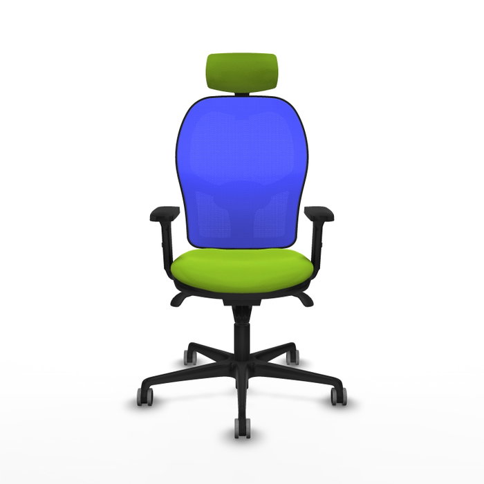 PIQUERAS Y CRESPO Silla de oficina Jorquera con mecanismo Sincro, Pistacho y Azul PIQUERAS Y CRESPO Silla de oficina Jorquera con mecanismo Sincro, Pistacho y Azul