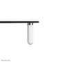 Newstar Neomounts NSMONITOR10 Soporte Elevador Transparente para Monitor