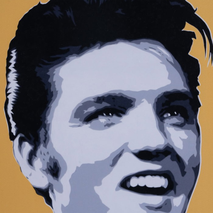 Cuadro Impresión Pop Art 2/M Decoración 53 X 53 cm (Set de 2)