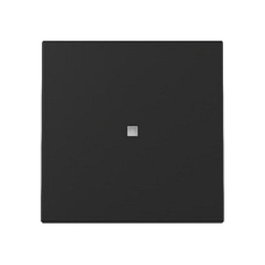 GIRA 3290005 Wippe Kontrollf. System 55 Negro