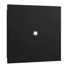 GIRA 3290005 Wippe Kontrollf. System 55 Negro