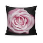 Aberto Design NKLF-234 Fundas de Cojín 43x43 cm, Algodón y Poliéster, Cremallera Oculta, Transforma tu Hogar con Elegancia y Comodidad