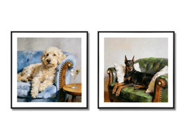 DKD Home Decor Cuadro Lienzo Perro Sofa Surtido de 4 unidades