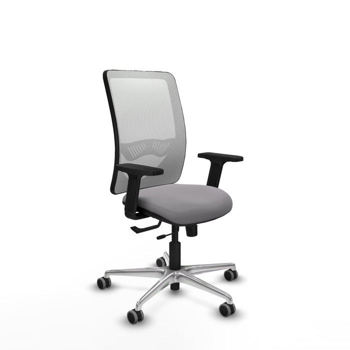 PIQUERAS Y CRESPO Silla de oficina Zulema con mecanismo Sincro/Traslack, Gris y Blanco PIQUERAS Y CRESPO Silla de oficina Zulema con mecanismo Sincro/Traslack, Gris y Blanco