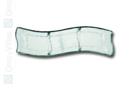 OMS Hot Wave Fuente Rectangular de Vidrio con 3 Divisiones