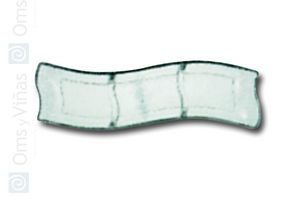 OMS Hot Wave Fuente Rectangular de Vidrio con 3 Divisiones OMS Hot Wave Fuente Rectangular de Vidrio con 3 Divisiones