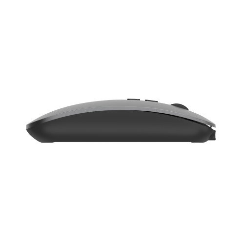Ewent EW3207 Ratón Inalámbrico Gris Ewent EW3207 Ratón Inalámbrico Gris