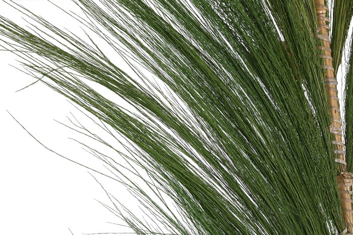 DKD Home Decor Decoración Rayung Bambú 30x1,5x240 Surtido