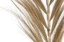 DKD Home Decor Decoración Rayung Bambú 30x1,5x240 Surtido