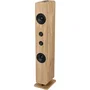 Thomson Torre de sonido Bluetooth M30 120W Madera/Negro