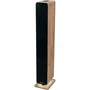 Thomson Torre de sonido Bluetooth M30 120W Madera/Negro