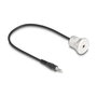 DeLOCK Conector Jack 3.5 mm 3 Pines Macho Hembra 30 cm Cable Negro Plata (Referencia 88188)