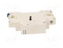 SCHNEIDER ELECTRIC Disyuntor de tensión 220/240VAC lateral