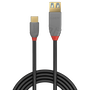 Lindy Cable Adaptador USB 3.2 Gen 2 de 0,15 m USB C a USB A Negro