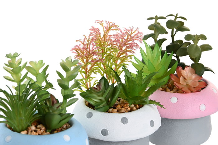 DKD Home Decor Planta Seta Cemento Pe Rosa Palo Azul Celeste Gris Blanco 9x11.5x9 cm