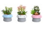 DKD Home Decor Planta Seta Cemento Pe Rosa Palo Azul Celeste Gris Blanco 9x11.5x9 cm