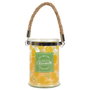Home Deco Factory Vela Citronela con Asa de Cuerda