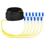 EFB Elektronik Cable de Fibra Óptica Trunk Monomodo OS2, 12 Fibras, SC-SC, 20 Metros