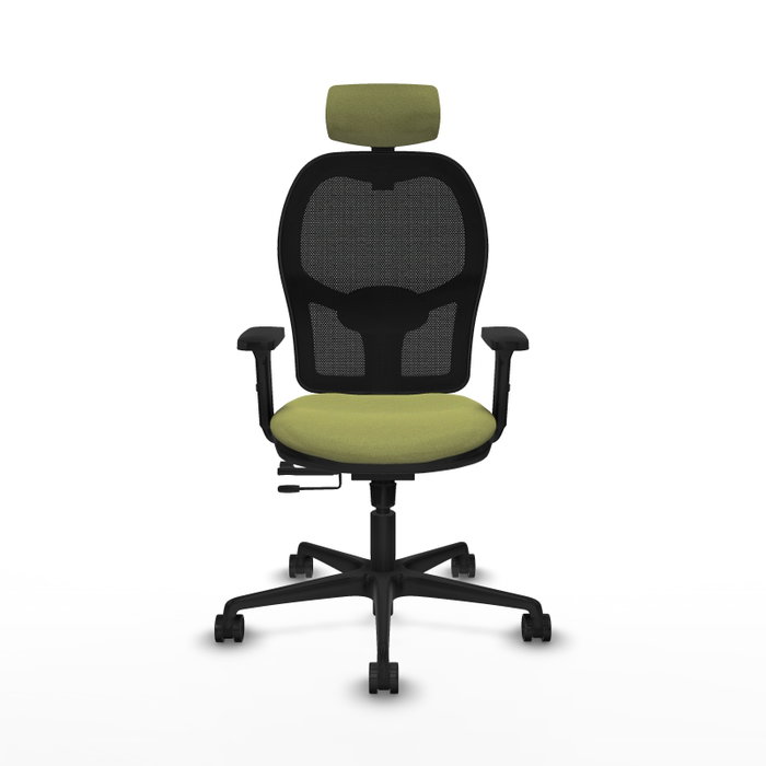 PIQUERAS Y CRESPO Silla de oficina Jorquera con mecanismo Sincro/Traslack, Verde oliva y Negro PIQUERAS Y CRESPO Silla de oficina Jorquera con mecanismo Sincro/Traslack, Verde oliva y Negro