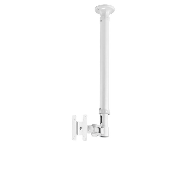 Newstar Soporte de Techo para TV