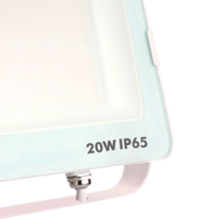 Silver Foco Proyector LED IP65 20W 5700K Luz Fría Aluminio