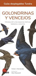 TUNDRA - Golondrinas y vencejos