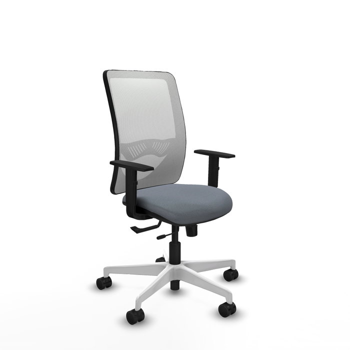 PIQUERAS Y CRESPO Silla de oficina Zulema con mecanismo Sincro/Traslack, Gris y Blanco PIQUERAS Y CRESPO Silla de oficina Zulema con mecanismo Sincro/Traslack, Gris y Blanco