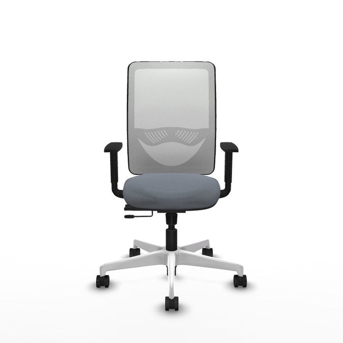 PIQUERAS Y CRESPO Silla de oficina Zulema con mecanismo Sincro/Traslack, Gris y Blanco PIQUERAS Y CRESPO Silla de oficina Zulema con mecanismo Sincro/Traslack, Gris y Blanco