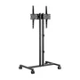 Aisens Soporte de Suelo ECO FT55TE-213 para TV de 32-55 pulgadas