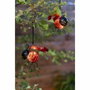 Galix Clip-on solar ladybug con luz LED cálida