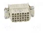HARTING Han 28DD F-c Plantilla de Contacto Hembra Han® DD