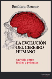 La evolución del cerebro humano, Emiliano Bruner - SHACKLETON BOOKS