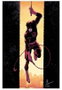 Panini España S.A. Daredevil 01 (48)