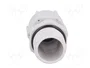 BM GROUP Sello aislante M20 con rosca prolongada gris