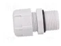 BM GROUP Sello aislante M20 con rosca prolongada gris