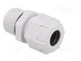 BM GROUP Sello aislante M20 con rosca prolongada gris
