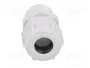 BM GROUP Sello aislante M20 con rosca prolongada gris