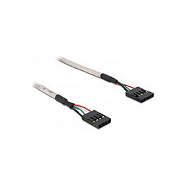 DeLOCK Cable USB Pinheader 4pin/5pin Hembra a Hembra 0,4 m