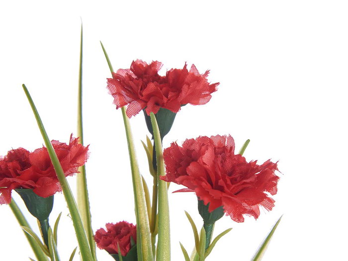 Ibergarden Planta Clavel Bote Metal Surtido 15x31x12cm (Set de 12)