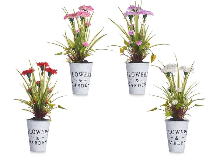 Ibergarden Planta Clavel Bote Metal Surtido 15x31x12cm (Set de 12)
